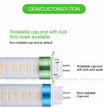 High quality 30W 5ft 5 years warranty other lighting bulbs & tubes T5 LED tube 18W